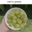 average grapes enjoyer