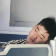 夢想打牌的馴鹿