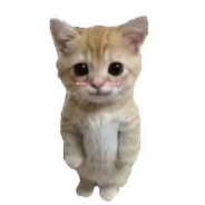 她喜欢嗦我牛子