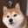 hachi_gg