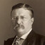 Teddy Roosevelt