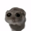 El Chefcito