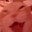 Red Cat