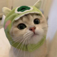 眼角映一丝安逸