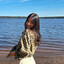 Nocho_95