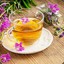 IvanTea