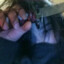 NoTimber
