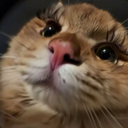 Krezan - steam id 76561199033704693