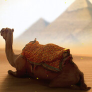 😎😎 shleb 😎😎