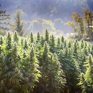 крутой парень