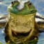 frogrus2