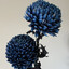 cherithgil-