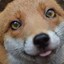 TheFurryFox