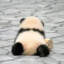 大能猫