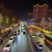 白垩纪的史迪仔化石