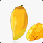 BOT_NOT MANGOES CAN FALL ้