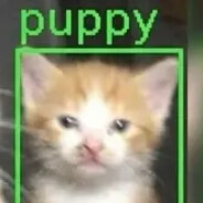 Puppy
