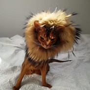 Oi_1shot [Наёмник]