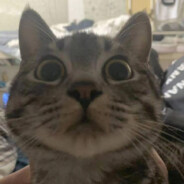 知道你很急但你先别急