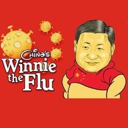 Winnie the Flu