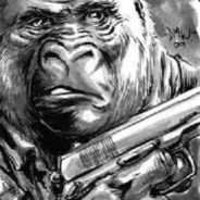 GorillaSD - steam id 76561197965691378
