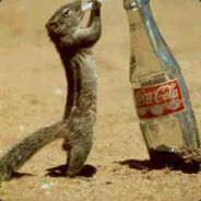 Ersas "AresSs" Jansen - steam id 76561197963530251