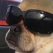 Nike // POCCO ONLY SCOUT - steam id 76561198150117997