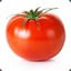 Tomate