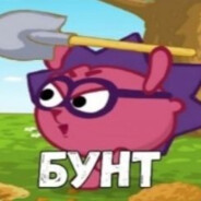 єжик