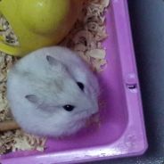 = =