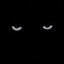 ♛ Shadow NR1 ♛