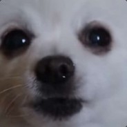 @empty // Fag Doggo