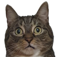 Lileuw avatar