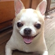 duby - steam id 76561197965588683
