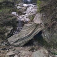 豪