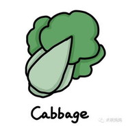 Cabbage_baicai
