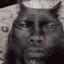 asldpqlw,zxzzz's avatar