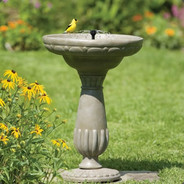 Bird Bath