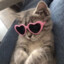 LOW MMR трахадром