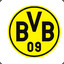 BVB 09 e.V.D