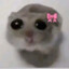 hikaruica