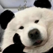 一个不拧巴的人