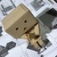 Danbo the Box