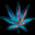 4:20KG