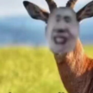 玉面手雷王（ikun）