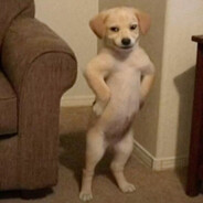 deuQ - steam id 76561198355299379