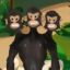 Three Headed Monkey