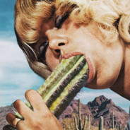 一堆数字的那个