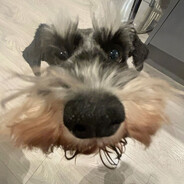 Teljo - steam id 76561199262542029