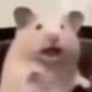 你鼠爹来袭统统洗内